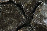 Septarian Dragon Egg Geode - Black Crystals #98880-3